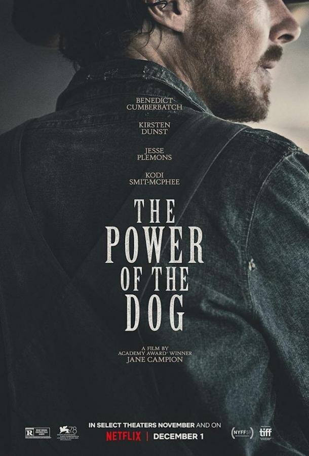 Фильм Власть пса (2021) смотреть онлайн в HD качестве